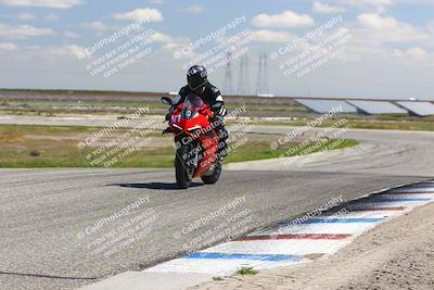 media/Mar-23-2025-TrackDaz (Sun) [[88a7749186]]/B Group/1220pm (Wheelie Bump)/